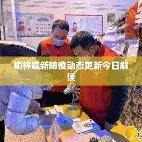 榆林最新防疫动态更新今日解读