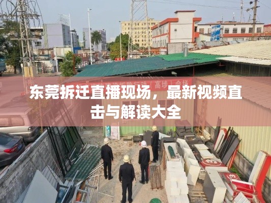东莞拆迁直播现场，最新视频直击与解读大全