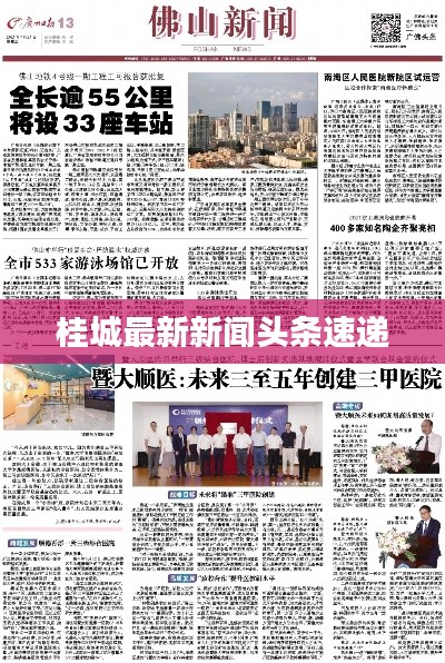 桂城最新新闻头条速递