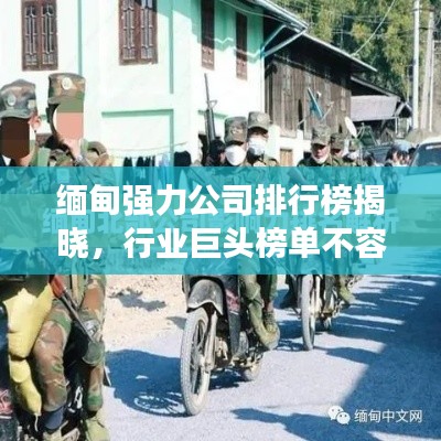 缅甸强力公司排行榜揭晓，行业巨头榜单不容错过！