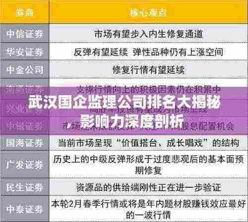 武汉国企监理公司排名大揭秘，影响力深度剖析