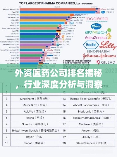 外资医药公司排名揭秘，行业深度分析与洞察