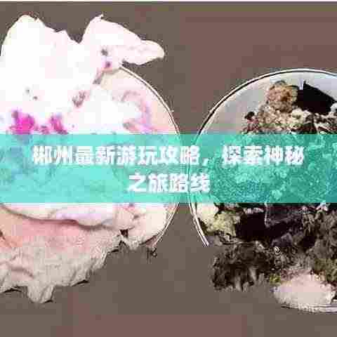 郴州最新游玩攻略，探索神秘之旅路线