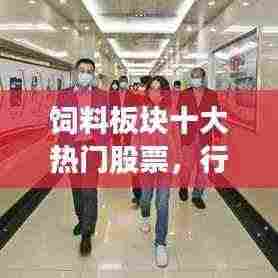 饲料板块十大热门股票，行业深度洞察与投资策略解析