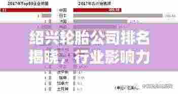 绍兴轮胎公司排名揭晓，行业影响力不容小觑