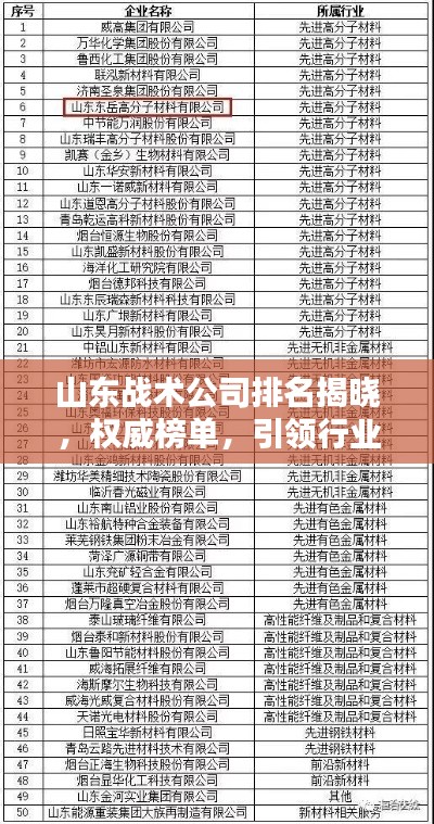 山东战术公司排名揭晓，权威榜单，引领行业风向标！