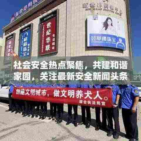 社会安全热点聚焦，共建和谐家园，关注最新安全新闻头条