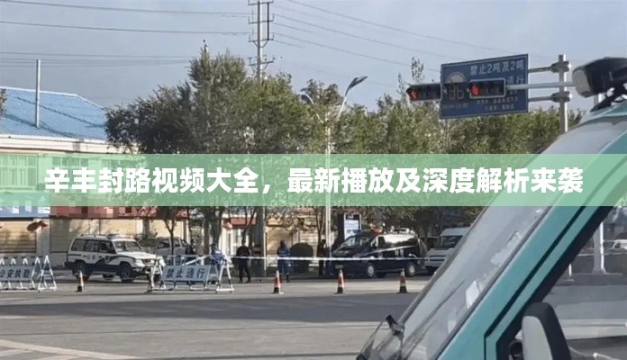 辛丰封路视频大全，最新播放及深度解析来袭