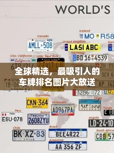 全球精选，最吸引人的车牌排名图片大放送