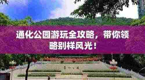 通化公园游玩全攻略，带你领略别样风光！