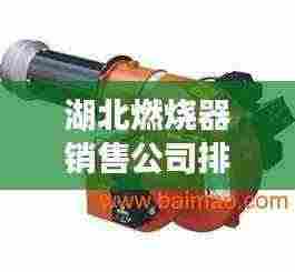 湖北燃烧器销售公司排行榜TOP榜单揭晓
