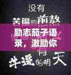 励志茄子语录，激励你的每一刻！