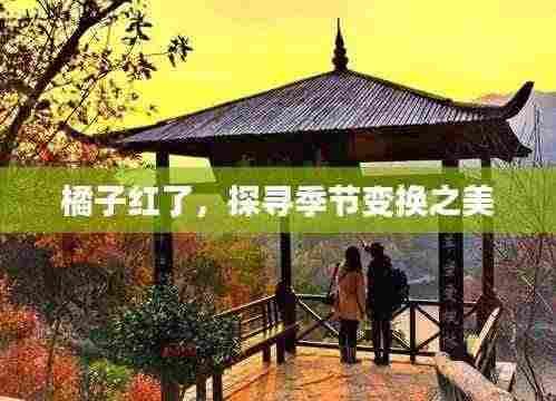 橘子红了，探寻季节变换之美