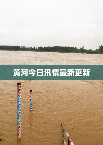 黄河今日汛情最新更新