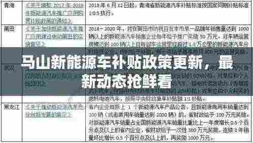 马山新能源车补贴政策更新，最新动态抢鲜看