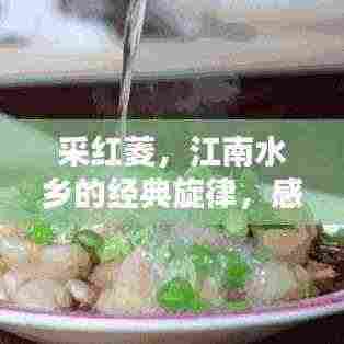 凤鸟不至 第2页