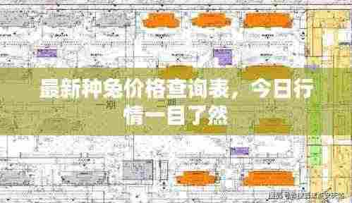 最新种兔价格查询表，今日行情一目了然