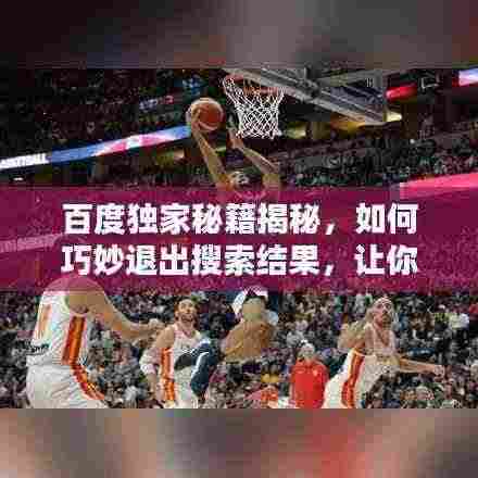 百度独家秘籍揭秘，如何巧妙退出搜索结果，让你不再困扰！