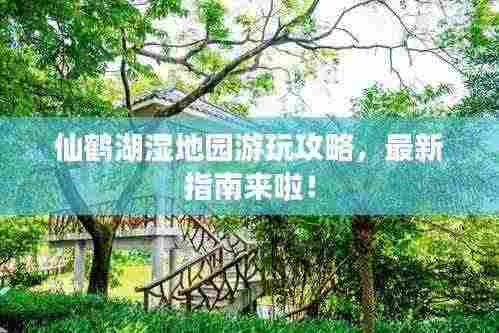 仙鹤湖湿地园游玩攻略，最新指南来啦！