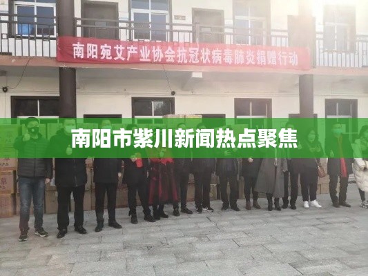 南阳市紫川新闻热点聚焦