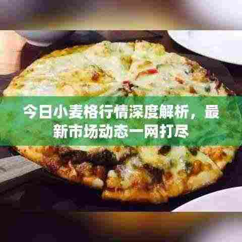 今日小麦格行情深度解析，最新市场动态一网打尽