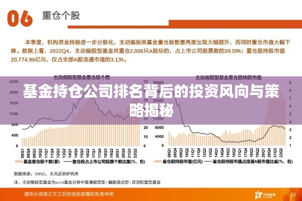 基金持仓公司排名背后的投资风向与策略揭秘