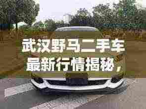 武汉野马二手车最新行情揭秘，价格与价值趋势一网打尽！