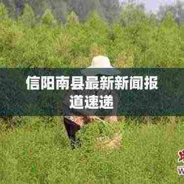 信阳南县最新新闻报道速递