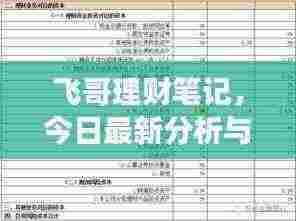 飞哥理财笔记，今日最新分析与策略解读